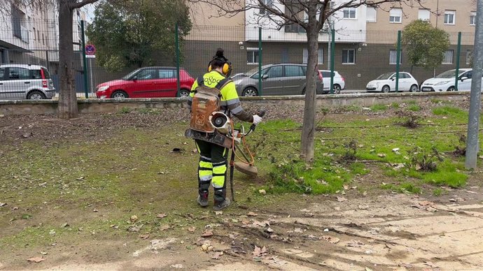 Trabajador del servicio de Parques y Jardines del Ayuntamiento de Sevilla