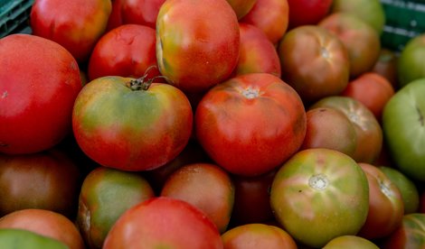 EpAgro - Unión Europea