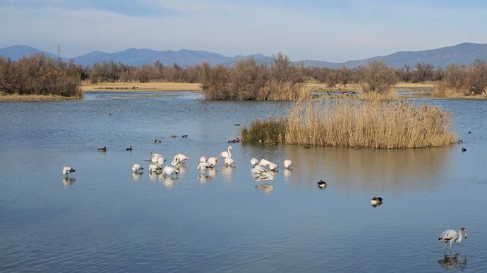 Parc Natural dels Aiguamolls de l'Empordà (Girona)