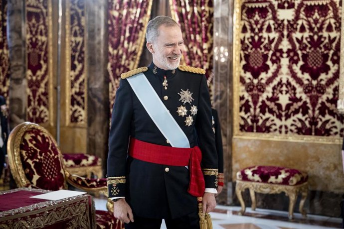 El Rey Felipe VI  