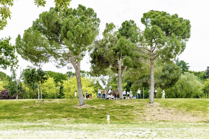 Archivo - Varias personas en el Parque Juan Carlos I, en Madrid (España). 