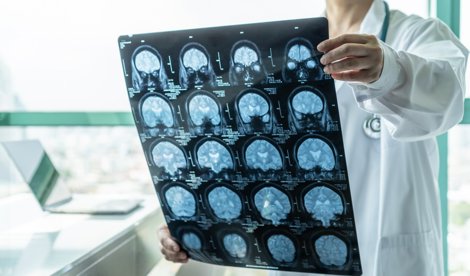 notibrasil sociedade