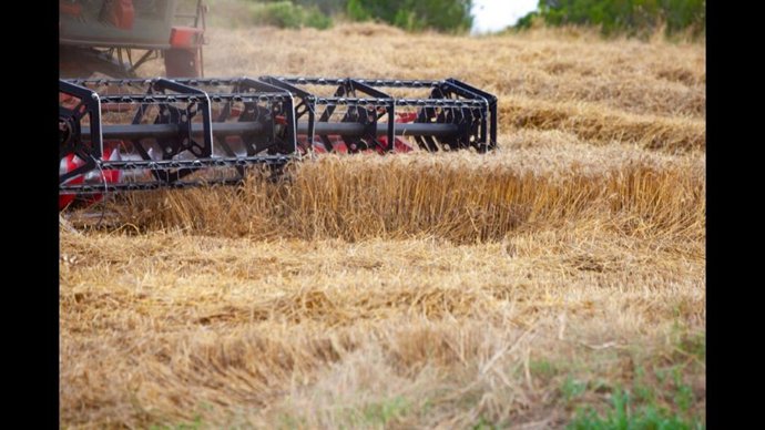 Archivo - Imatge de recurs d'una explotació