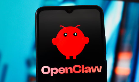 notibrasil sociedade