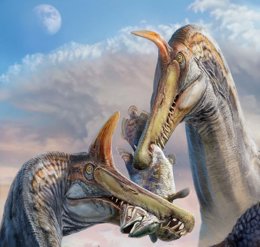 notibrasil sociedade