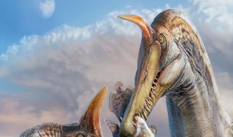 notibrasil sociedade