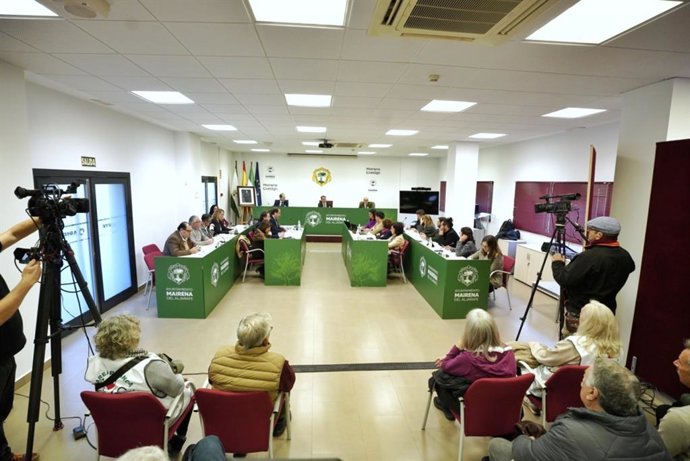 Pleno del Ayuntamiento de Mairena del Aljarafe.