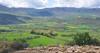 EpAgro - Unión Europea