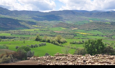 EpAgro - Unión Europea