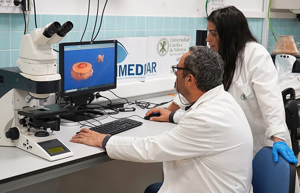 Archivo - El Instituto Universitario de Investigación en Medio Ambiente y Ciencia Marina (Imedmar-UCV) y el Institut de Cincies del Mar del CSIC (ICM-CSIC) concluyen el proyecto 'Colágeno de medusas: un recurso innovador del Mediterráneo en biotecnolog