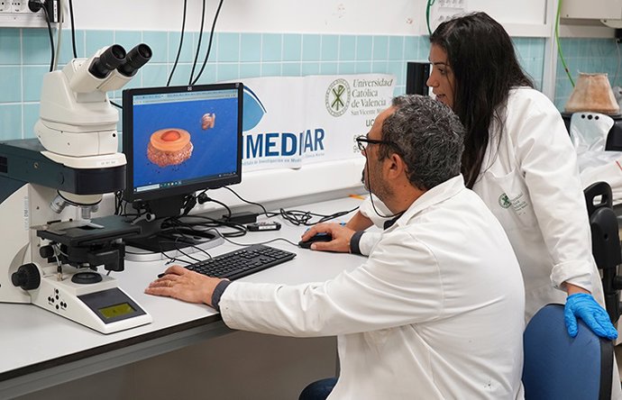 Archivo - El Instituto Universitario de Investigación en Medio Ambiente y Ciencia Marina (Imedmar-UCV) y el Institut de Ciències del Mar del CSIC (ICM-CSIC) concluyen el proyecto 'Colágeno de medusas: un recurso innovador del Mediterráneo en biotecnología