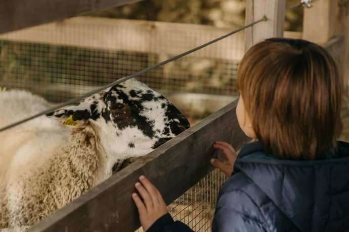 Archivo - Activitat a la finca Mas La Plana de Familia Torres
