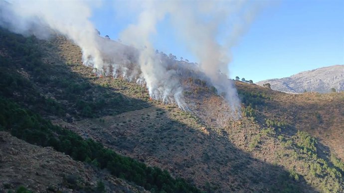 Declarado un incendio forestal en Istán (Málaga).