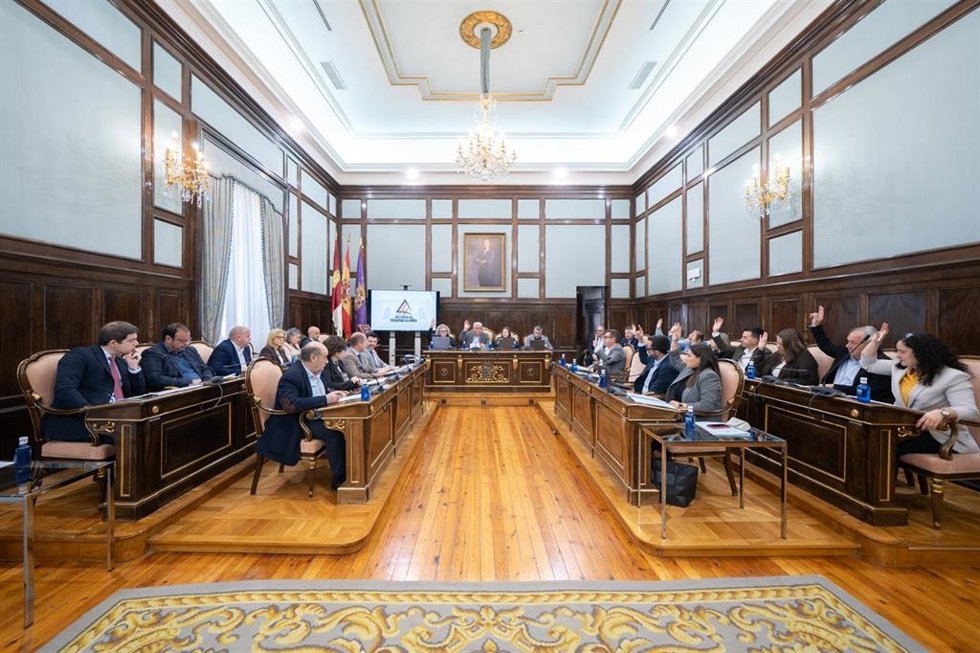 Pleno en la Diputación de Guadalajara.