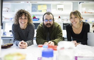 Investigadores de la EHU.