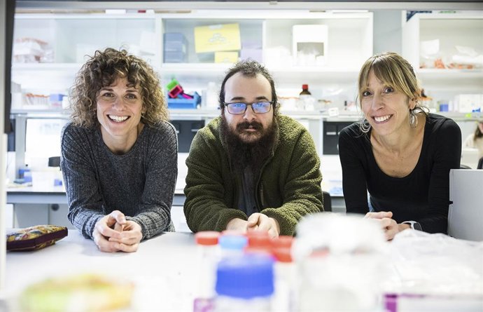 Investigadores de la EHU.