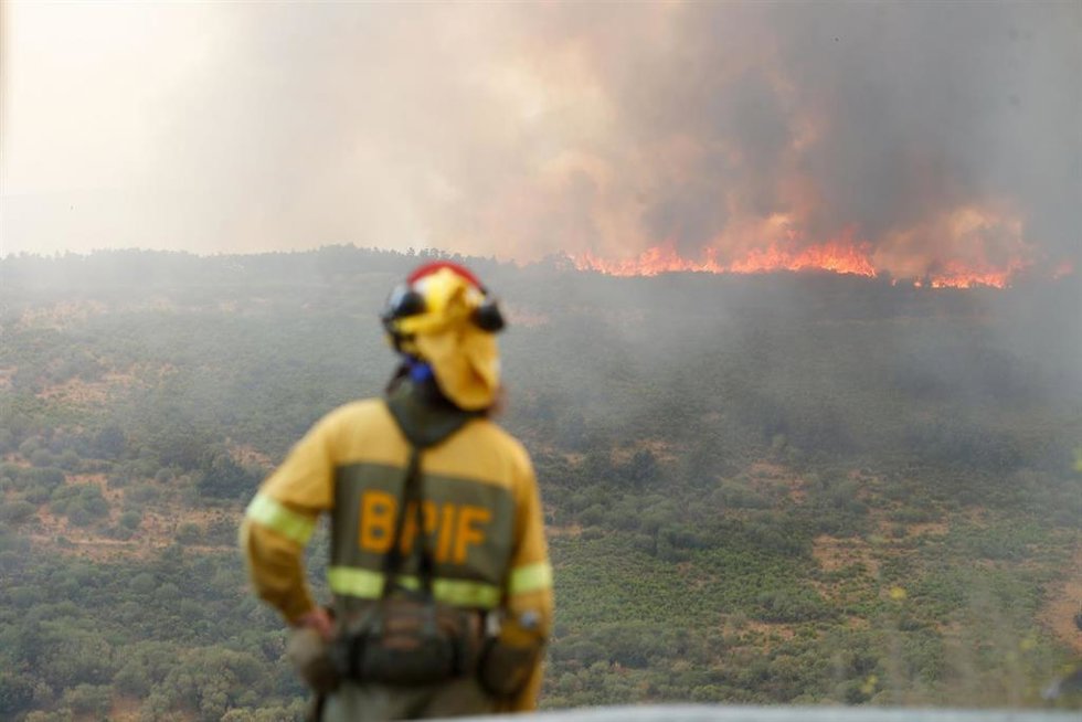 Archivo - Un bombero observa el incendio forestal en La Baña, Encinedo, La Cabrera, León, Castilla y León (España).