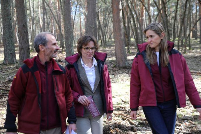 Transición Ecológica ampliará en un 5% el terreno Parque Nacional de Guadarrama: "Esperamos que sea muy pronto".