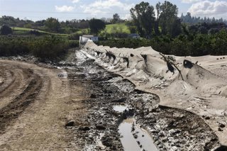 Imagen de zonas agrícolas afectadas por el tren de borrascas en Jerez de la Frontera (Cádiz). 