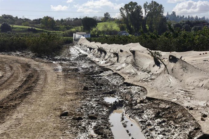 Imagen de zonas agrícolas afectadas por el tren de borrascas en Jerez de la Frontera (Cádiz). 