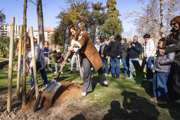 Plantación de árboles en Zaragoza
