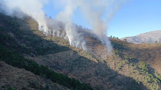 Extinguido definitivamente un incendio forestal en Istán (Málaga).