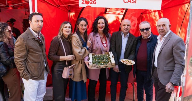 Diputación de Almería