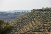 Foto: Una veintena de alcaldes de Jaén viajan este lunes a Bruselas para abordar temas del campo, la PAC y fondos europeos