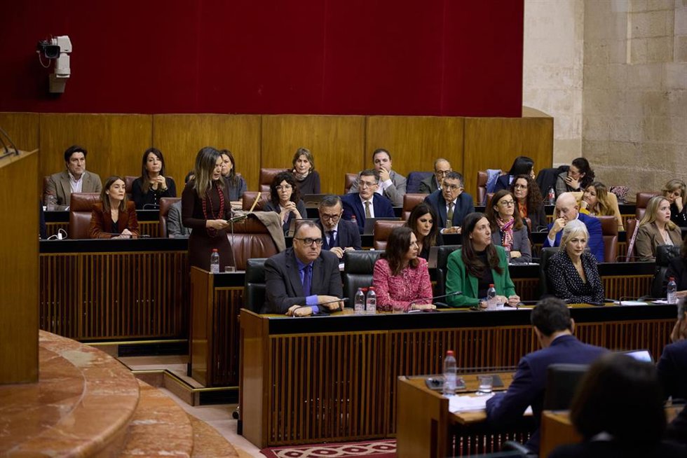 La portavoz del Grupo Socialista, María Márquez, interviene en el Pleno del Parlamento andaluz.
