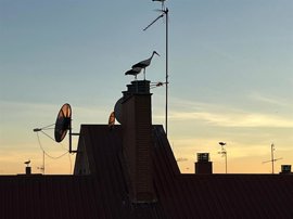 Foto: TRES CANTOS - Archivo