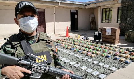 notibrasil sociedade