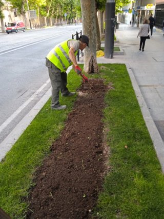 Imágen de un trabajador del CEE de Jaén, replantando flores de temporada.
