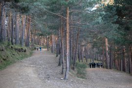 Foto: Rafael Bastante - Europa Press - Archivo