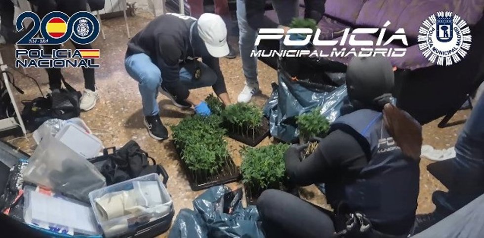 Un operativo conjunto de Policía Nacional y Policía Municipal de Madrid logra desmantelar cuatro narcopisos en Vallecas y Centro