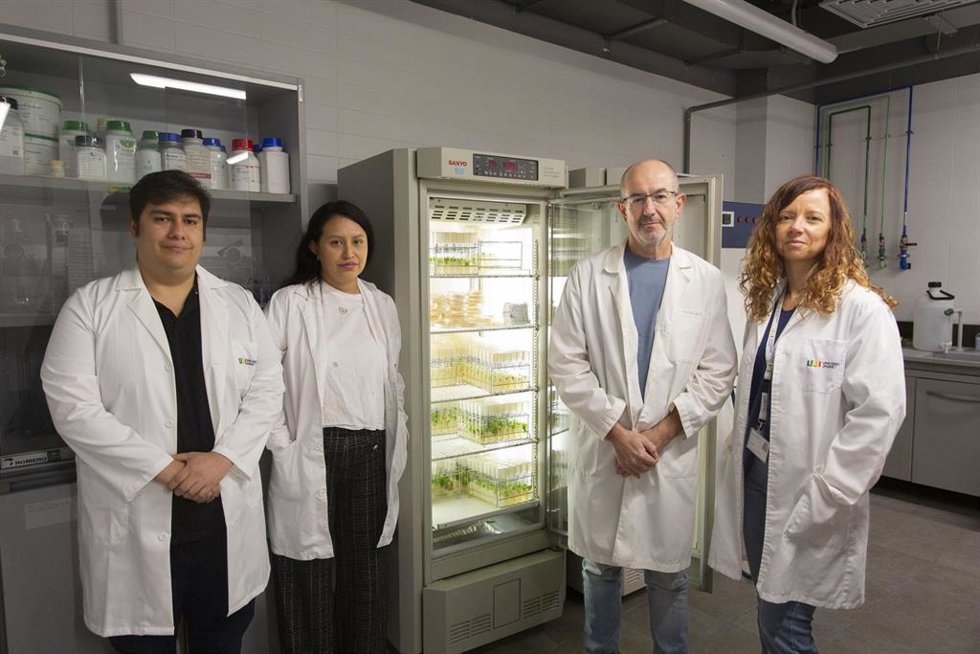 Investigadores de la UJI