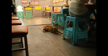 ¿Por qué tienen los banquitos de plástico un agujero en el medio?