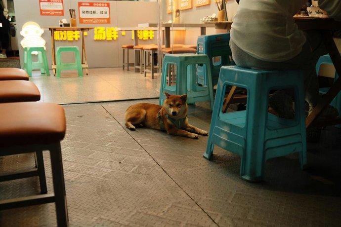 ¿Por Qué Tienen Todos Los Banquitos De Plástico Un Aguejro En El Medio?