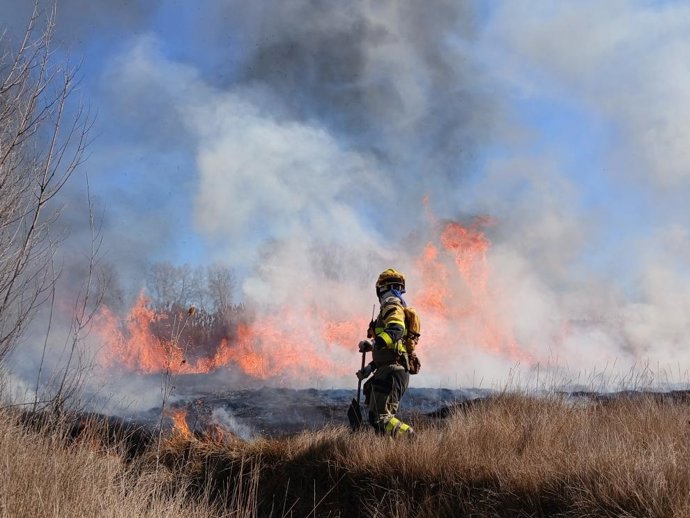 Quema de rastrojos de carrizal realizada de forma controlada por Infoar.