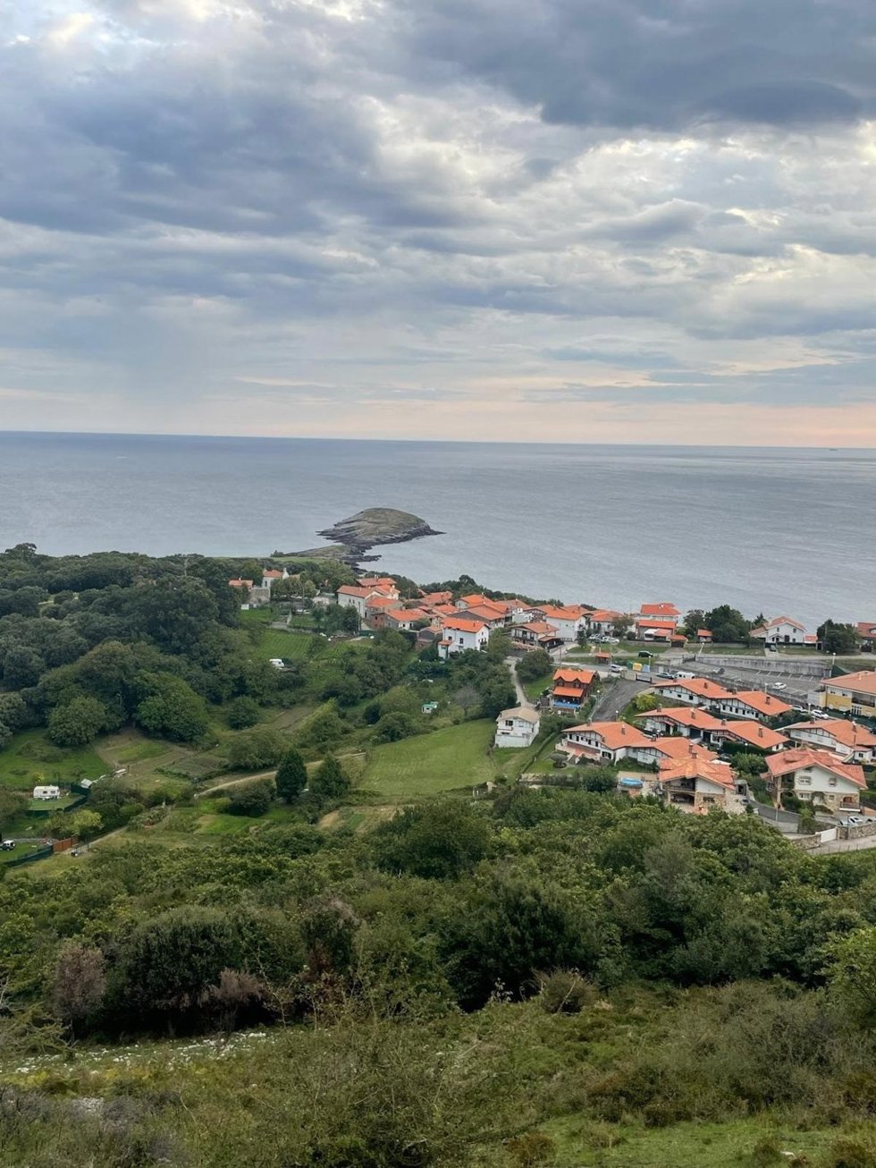 SEO/BirdLife reclama una ordenanza "firme" para proteger el suelo rústico en Castro Urdiales