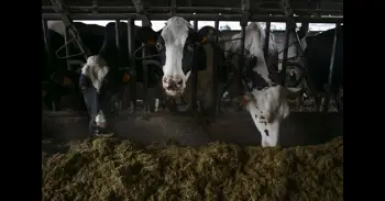 COAG rechaza la amenaza de la industria láctea de bajar los precios de la leche