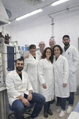 Autores del artículo de investigación. De izquierda a derecha, Carlos Rial, Rosa M. Varela, Miguel Palma, Daniela Rosa, Francisco A. Macías, María F. Duarte y Francisco J. Rodríguez-Mejías.