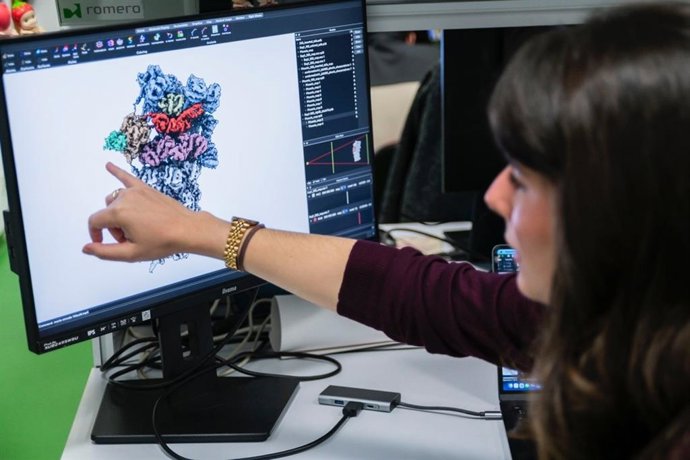 Hallan un mecanismo que permite a las células degradar proteínas sin consumir energía, útil en alternativas terapéuticas