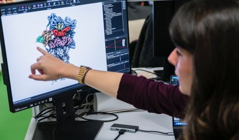 notibrasil sociedade