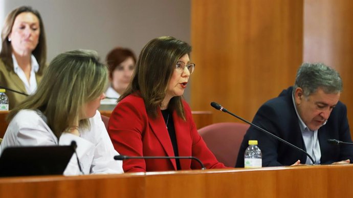 La concejal de Urbanismo de Vigo, María José Caride, en el Pleno municipal.