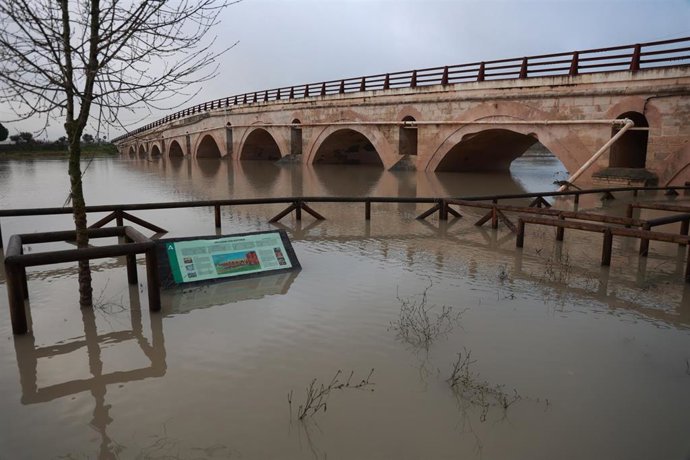 Estado de una de las zonas afectadas por inundaciones en el término municipal de Jerez,