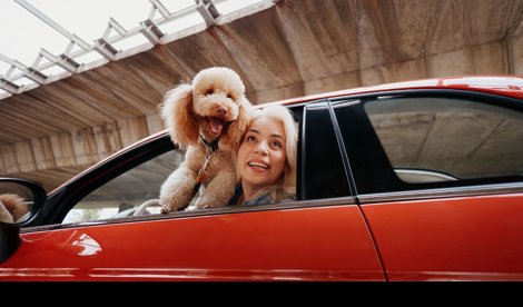 Comunicados Empresas