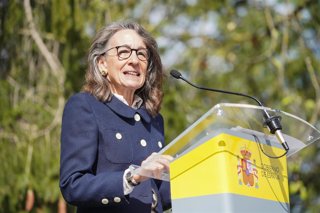 Archivo - La delegada de Gobierno en el País Vasco, Marisol Garmendia