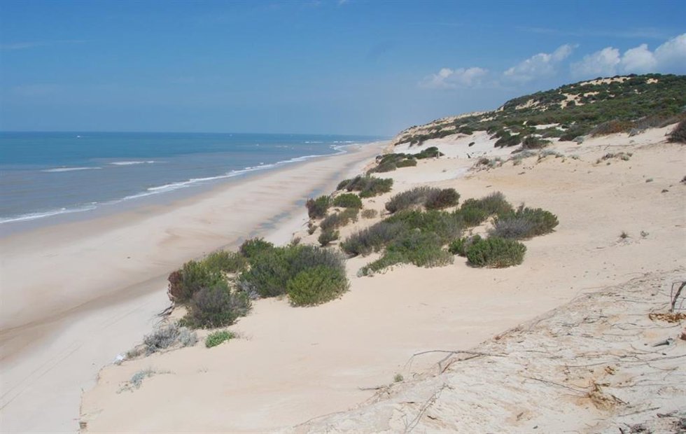 Archivo - Imagen de la playa de Matalascañas