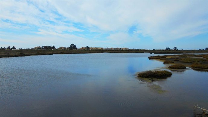 Archivo - Caño de la Mojarra en Ayamonte (Huelva).