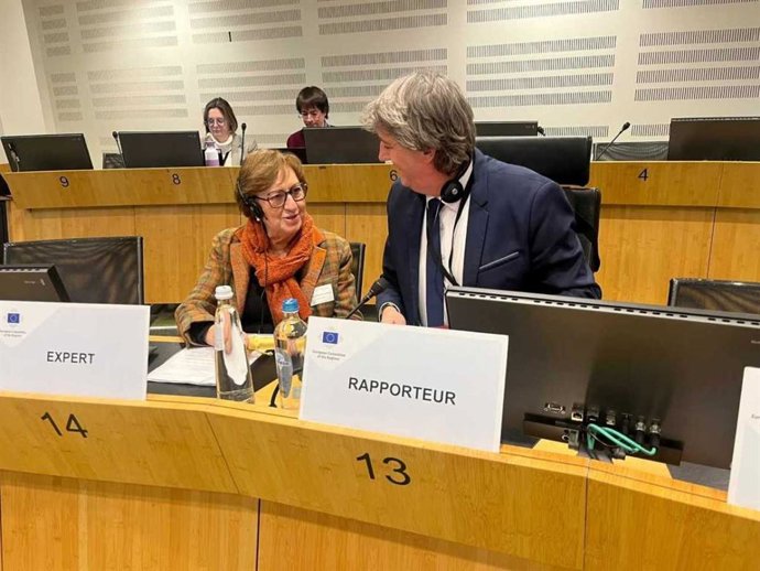 El alcalde de Soria en un momento de su participación como ponente del dictamen sobre el Fondo Social Europeo Plus (FSE+)